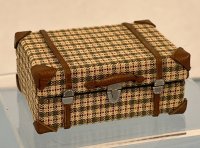 (image for) Green Plaid Suitcase