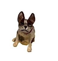 (image for) Chihuahua