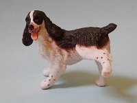 (image for) Naughty English Springer