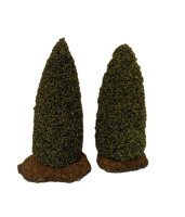 (image for) Pair of Evergreens