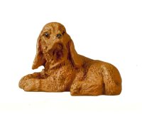 (image for) Small Cocker Spaniel