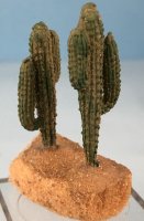 Large Cactus