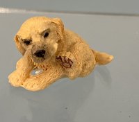 (image for) Golden Puppy Scratching Himself