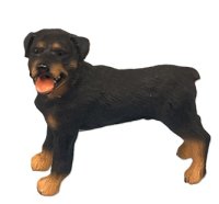 (image for) Black Lab Puppy