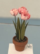 (image for) Pink Tulips in Clay Pot