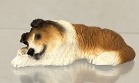 (image for) Collie, Lying