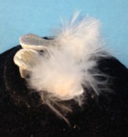 White Feather Mules