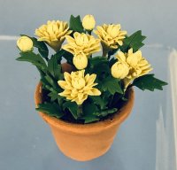 (image for) Yellow Flower Potted Plant