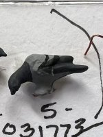 (image for) Pigeon