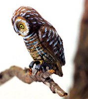 (image for) Pell's Fishing Owl