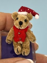(image for) Teddy Bear in Red Vest