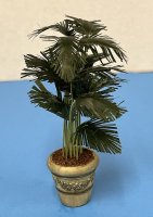 (image for) Parlor Palm in an Antiqued Pot