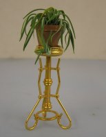 (image for) Spider Plant on Brass Stand