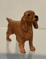 (image for) Cocker Spaniel, Golden Brown