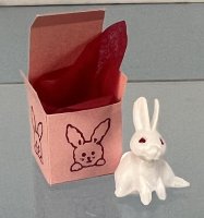 (image for) Bunny in a Box