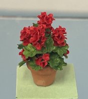 (image for) Red Geraniums in Clay Pot