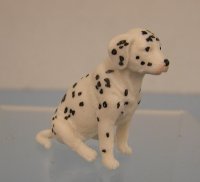 (image for) Dalmation, Sitting