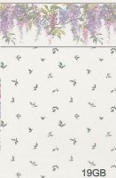 (image for) Wisteria 19GB