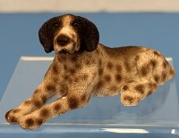 German Spotted Short Hair Pointer