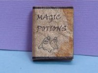 (image for) Magic Potions Book