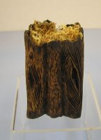 (image for) Tree Stump Planter