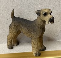 (image for) Schnauzer