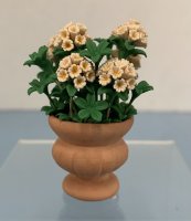 (image for) Hydrangeas in Clay Pot