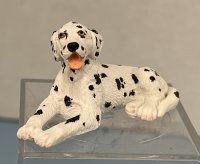 (image for) Dalmation Lying down