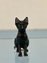 (image for) Sitting Black Cat