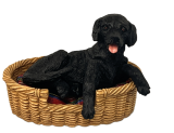 (image for) Lab, Black, Lying Down