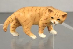 (image for) Orange Tiger Cat Looking Back