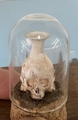 (image for) Antique Three-faced Skull Dome that Lights with a Battery Light