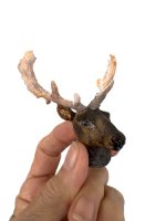 (image for) Deer Head Ready to Mount