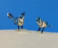 Blue Jays (2 in set)