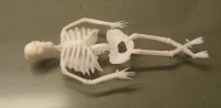 (image for) Plastic Skeleton