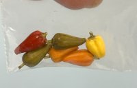 (image for) 6 Peppers