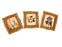 (image for) Set of 3 Botanical Prints