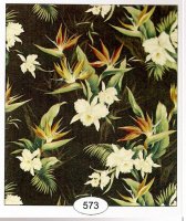 (image for) Orchids 573
