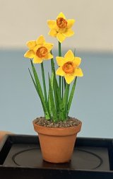 3 Golden Daffodils in Clay Pot (image for) 3 Golden Daffodils in Clay Pot