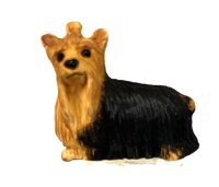 (image for) Yorkshire Terrier