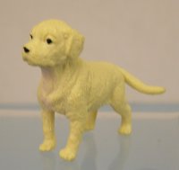 (image for) Yellow Lab