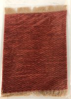 Area Rug Red and Tan
