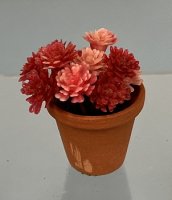 (image for) Rosy Pink Flowers in Clay Pot