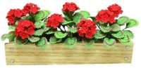 (image for) Red Geraniums in 3-1/2" Window Box