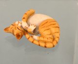 (image for) Orange and White Tabby Asleep on Back