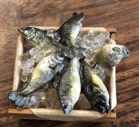 Fish on Ice in Crate