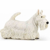 (image for) Scottish Terrier