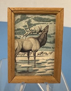 Framed print of an Elk
