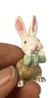 (image for) Dressed White Bunny
