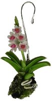 (image for) Hanging Orchid-Pink/White